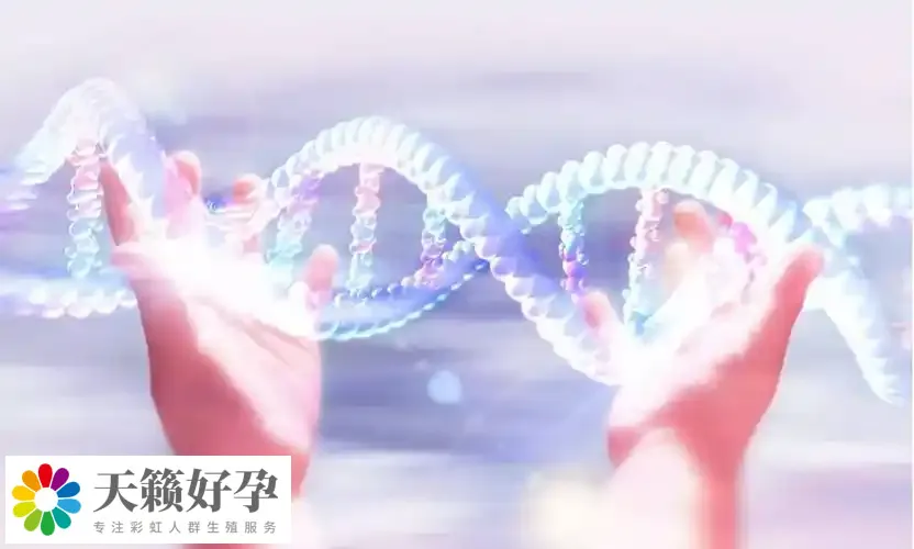 倆個女人做試管采用什么方案?附女同廣州三代試管具體收費標準