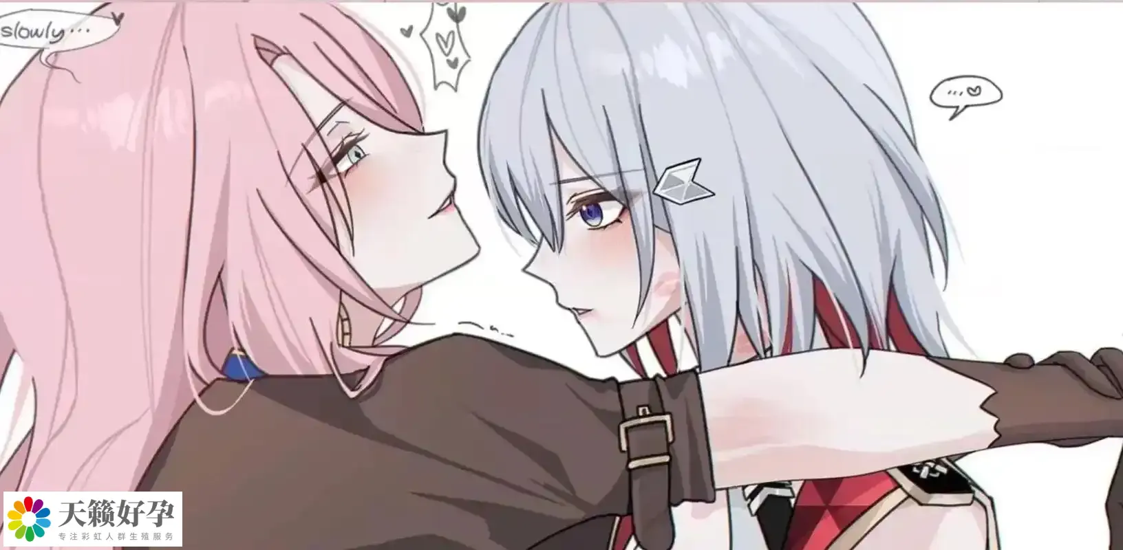 兩個同性戀女人不能在國內試管嬰兒嗎？