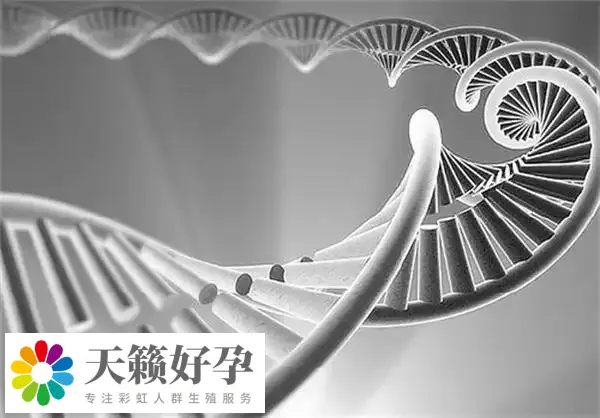 倆個女人做試管能懷孕嗎?附女同廣州供精三代試管費用介紹