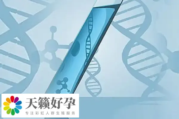 倆個女人做試管能懷孕嗎?附女同廣州供精三代試管費用介紹