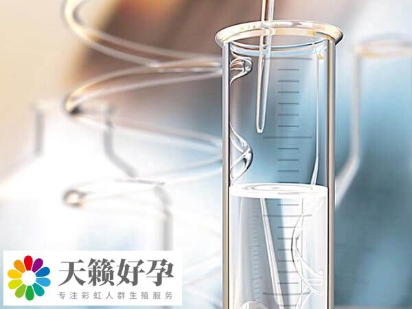 取卵前怎么提高卵子質量