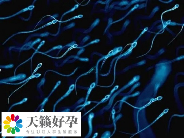 精子數目過低適用于二代試管