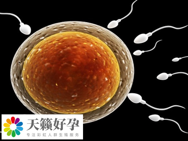 申請供精是不是必須先人授后試管