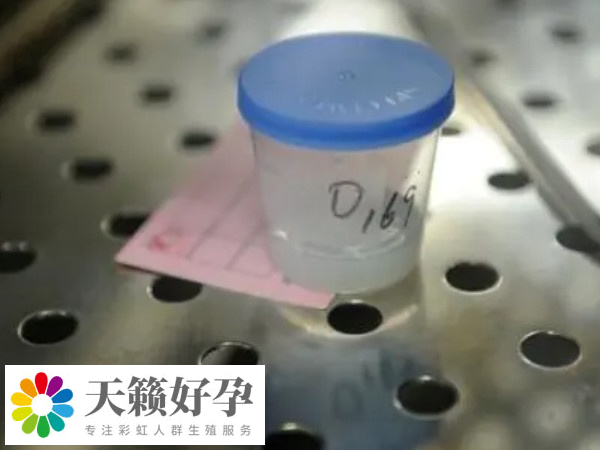 申請供精是否需要血型相同