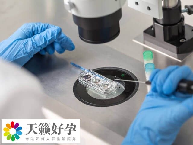 試管助孕時間約為2-3個月