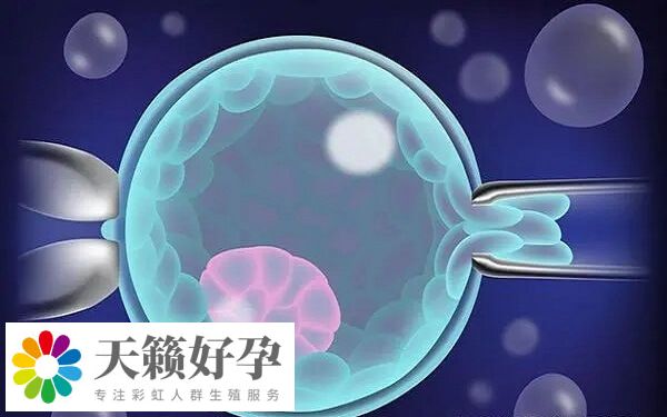 試管治療期間要注意改善生活習慣