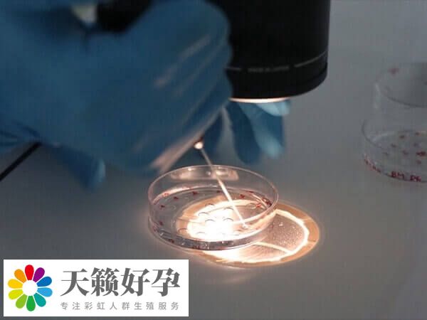 試管嬰兒反復移植失敗是怎么回事