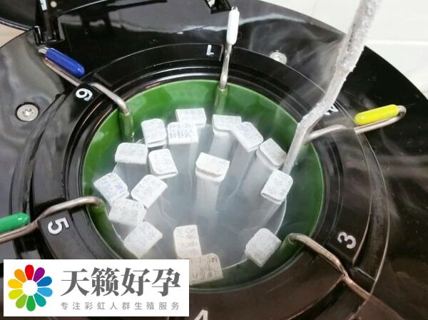 凍胚解凍復(fù)蘇率約90%