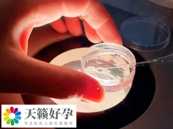 試管移植后胸脹是不是好兆頭