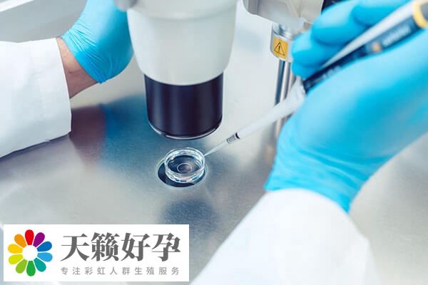 只取了6個卵有無希望做囊胚