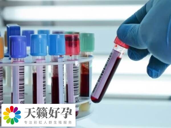 鮮胚移植11天白板還有無希望