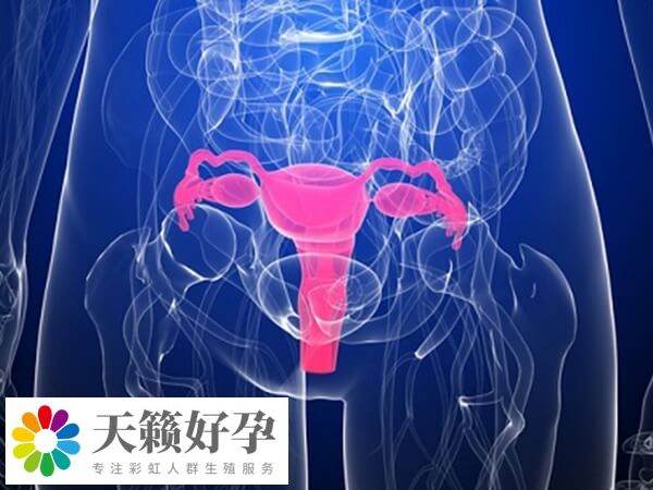 宮腔環境差會影響鮮胚移植著床率