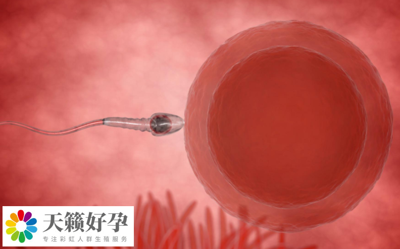 浙江省婦幼保健院做三代試管嬰兒生子怎么樣