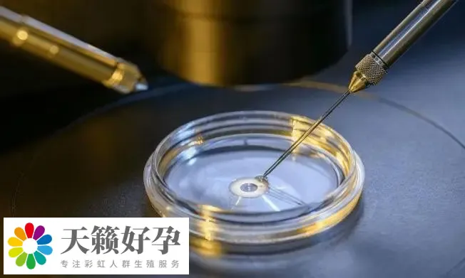 溫州生育中心醫院做三代試管嬰兒生子多少錢