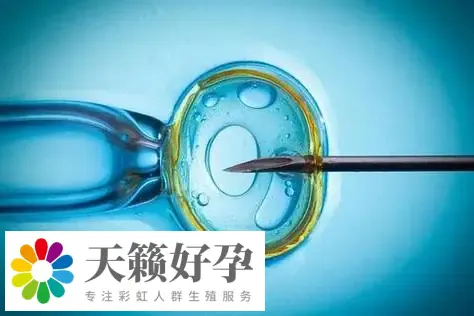 上海不孕不育醫(yī)院和生子醫(yī)院做三代試管嬰兒生子哪個醫(yī)院好