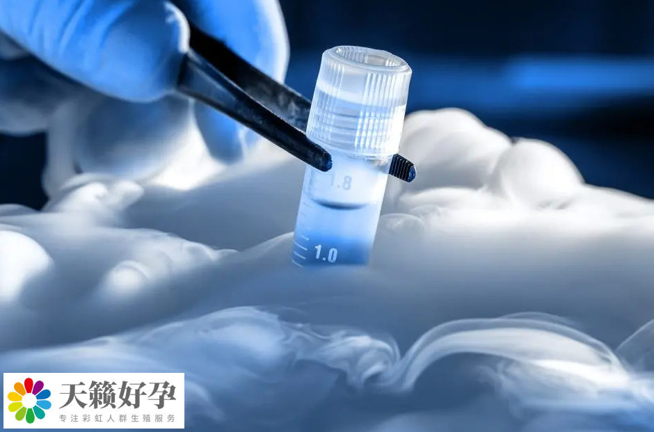 上海試管三代哪家醫(yī)院成功率最高？