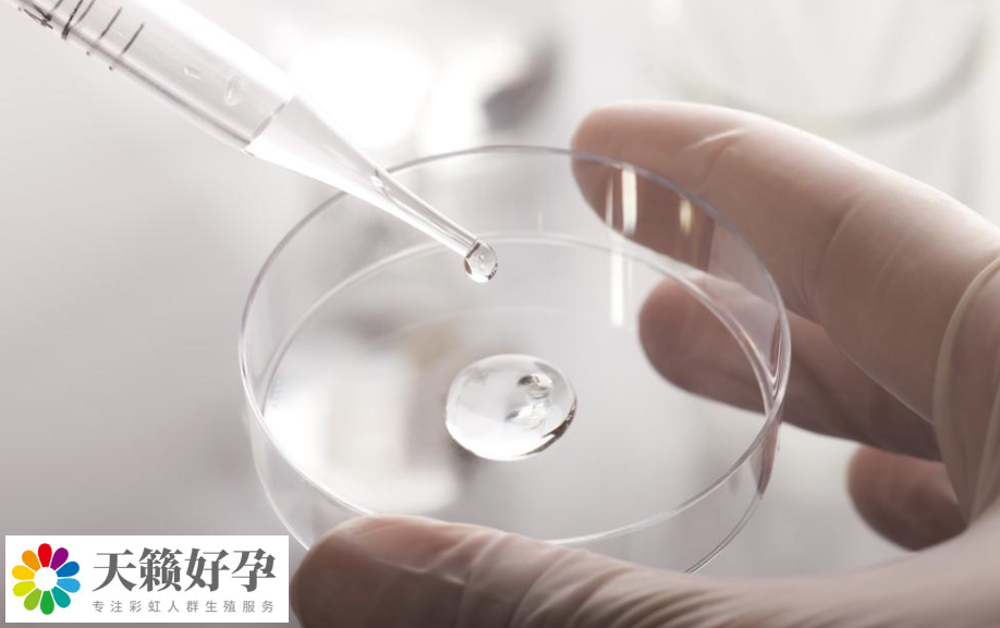 做三代試管嬰兒生子收費價目表參考