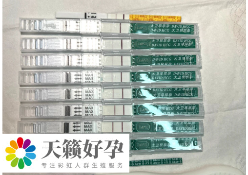 網傳hcg越高越容易生兒子的說法靠譜嗎?