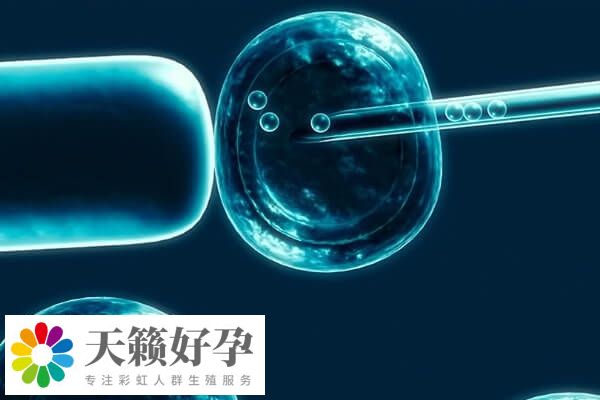 移植胚胎后需不需要一直躺著