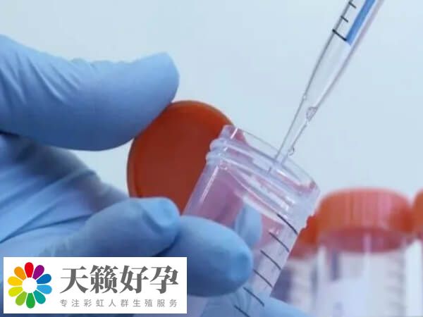 鮮胚移植后生化了需要休息多久