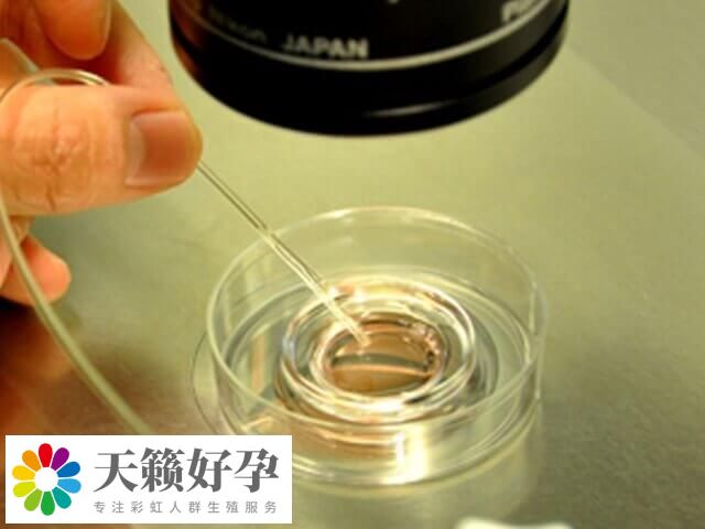3號和7號染色體平衡易位嚴重，做試管嬰兒養(yǎng)囊會更少嗎？