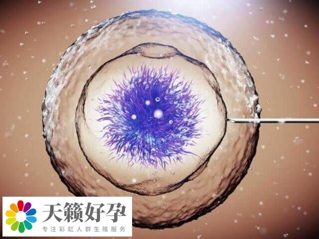 促排后fsh升高會不會是空卵泡