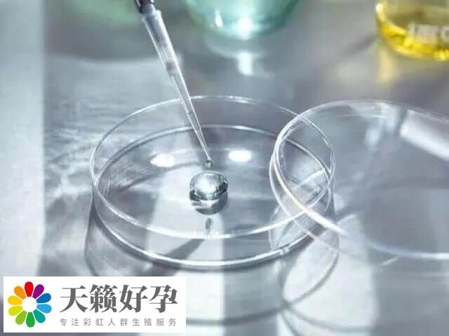 國外凍卵費用是多少