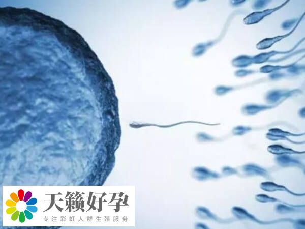 GVT技術在國內并未批準應用