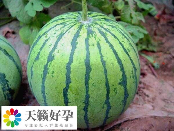 兩歲寶寶在夏天適合吃的水果有哪些