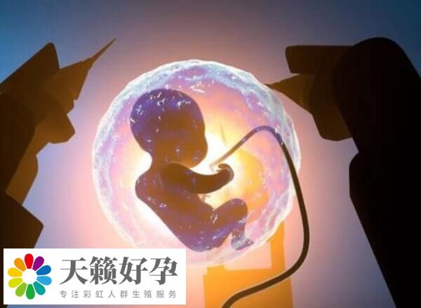 國內和國外的哪些醫院能做t卵p懷生孩子呢？