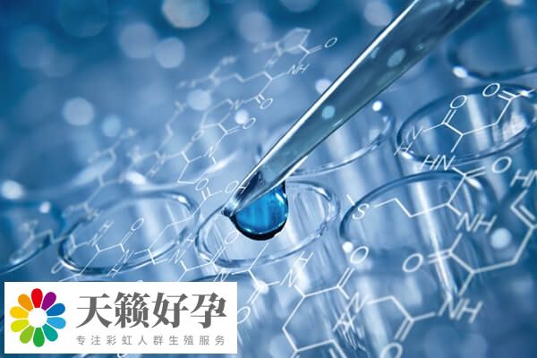 融合胚胎是不是連體嬰兒