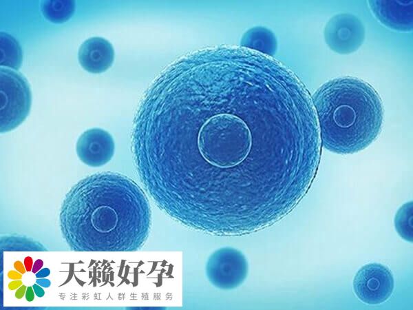 糖尿病人做試管費用高不高